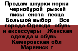 Продам шкурки норки, чернобурой, рыжей лисы, енота, песца. Большой выбор. - Все города Одежда, обувь и аксессуары » Женская одежда и обувь   . Кемеровская обл.,Мариинск г.